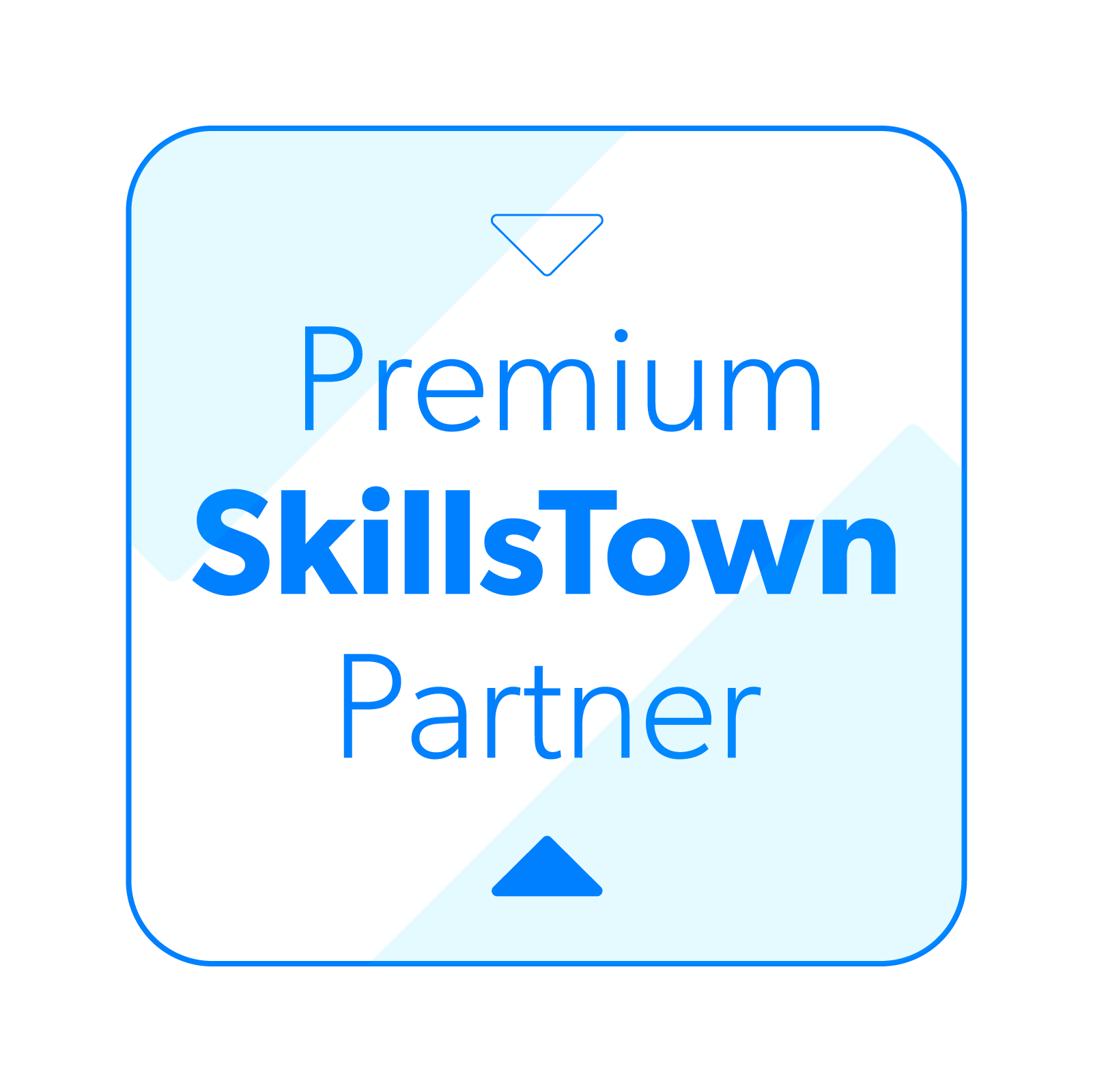 Premium SkillsTown Partner